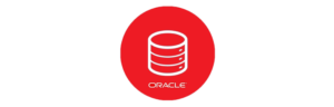 Oracle Database Enterprise Edition License 1 Processor 500x500 1